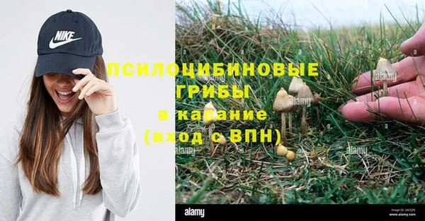 PSILOCYBIN Абдулино