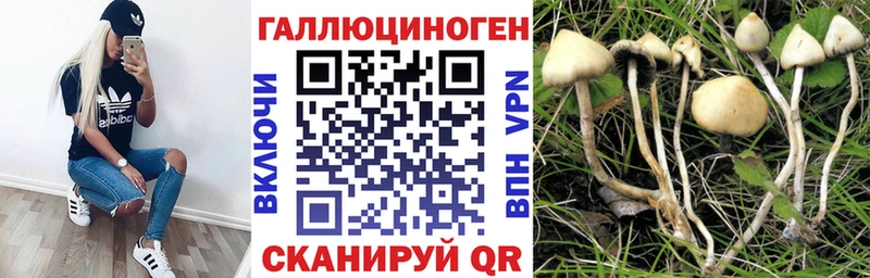 хочу наркоту  Котельнич  Псилоцибиновые грибы Psilocybe 